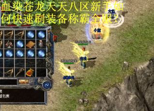 血染苍龙天天八区新手如何快速刷装备称霸全服？