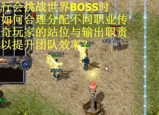 行会挑战世界BOSS时如何合理分配不同职业传奇玩家的站位与输出职责以提升团队效率？